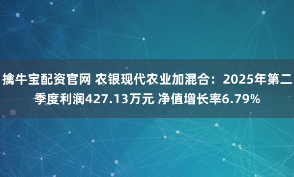 擒牛宝配资官网 农银现代农业加混合：2025年第二季度利润427.13万元 净值增长率6.79%