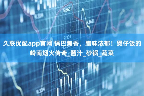 久联优配app官网 锅巴焦香，腊味浓郁！煲仔饭的岭南烟火传奇_酱汁_砂锅_蔬菜