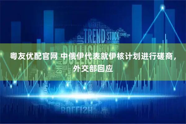 粤友优配官网 中俄伊代表就伊核计划进行磋商，外交部回应